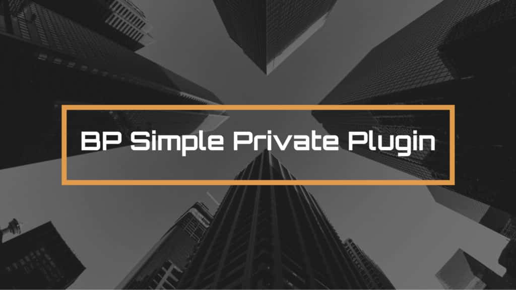 BP Simple Private Plugin Made with DesignCap